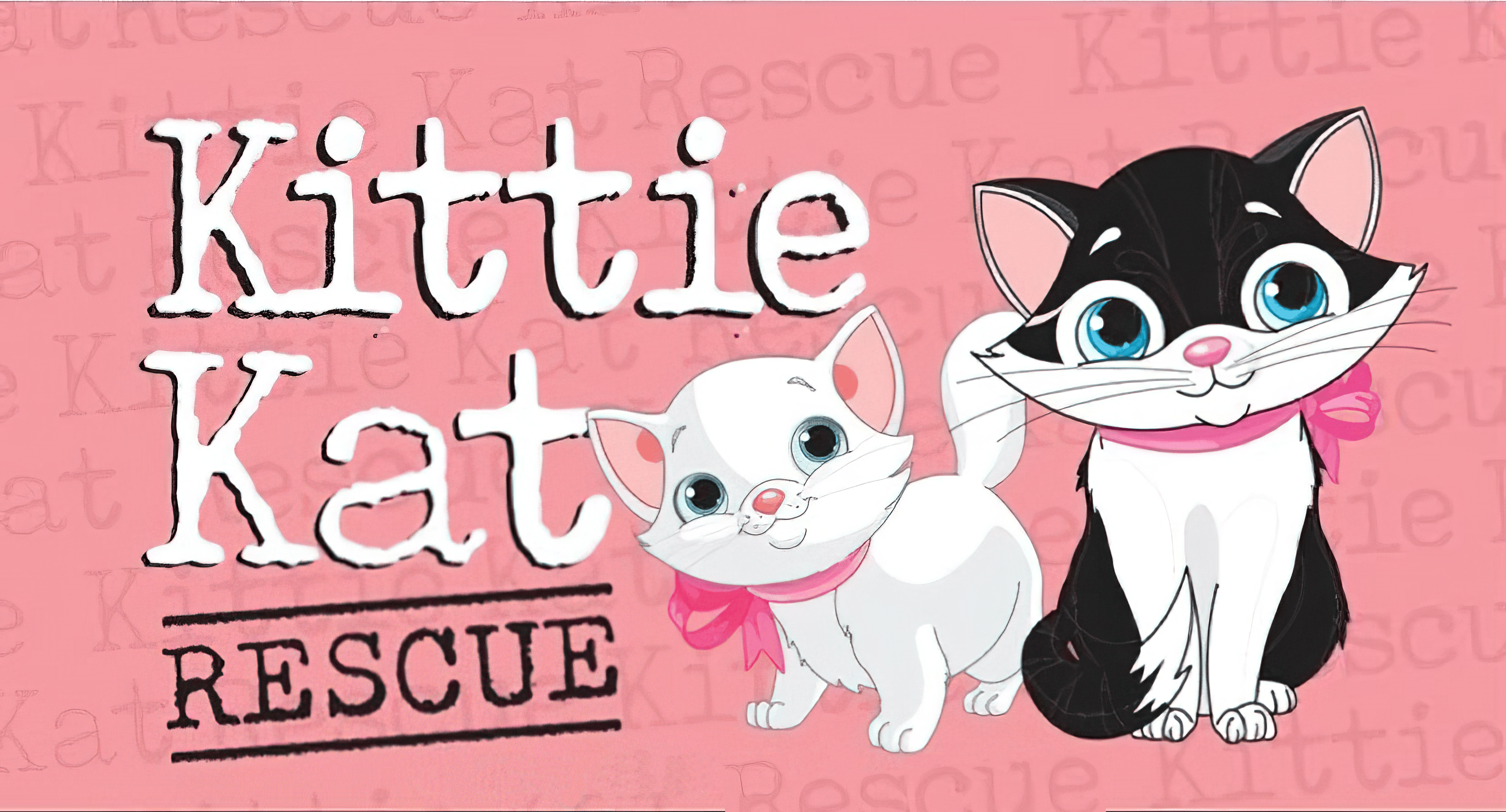 Donate to Kittie Kat Rescue Inc