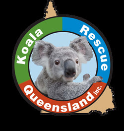 koala-rescue-logo.jpeg